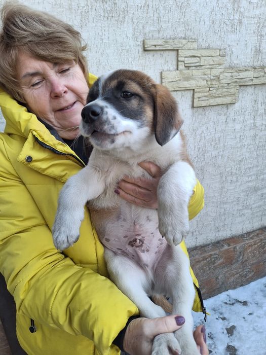 Отдам в хорошие руки