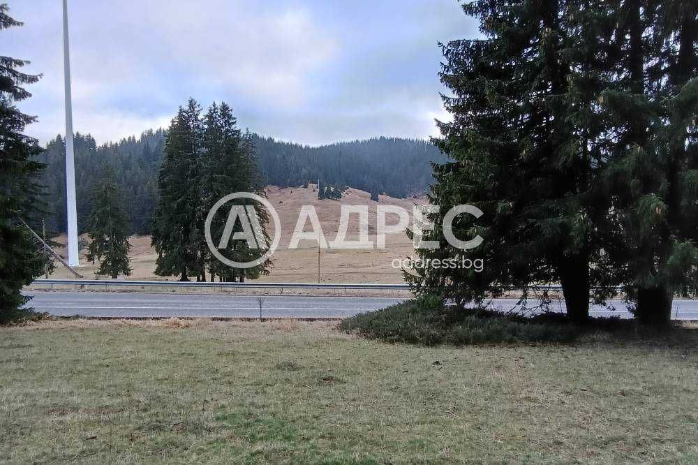Продава Земеделска земя, с. Соколовци, обл. Смолян, местност Рожен