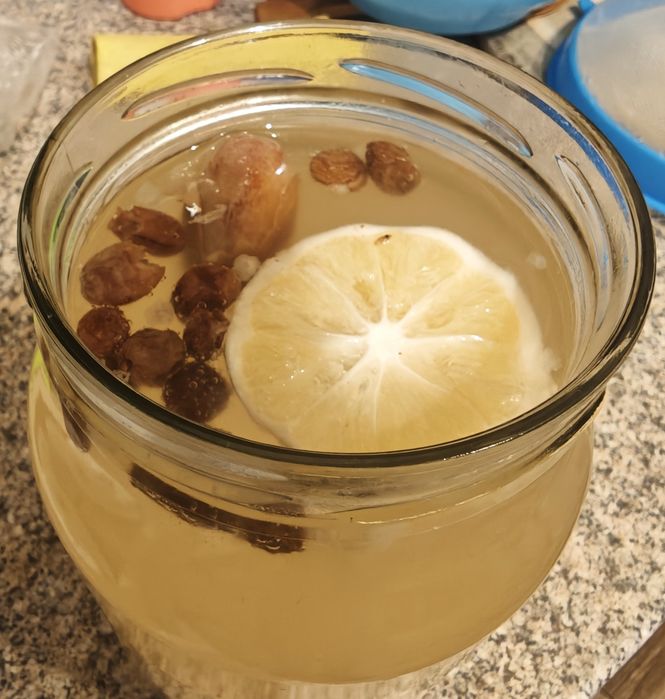 Kefir de lapte și chefir de apă