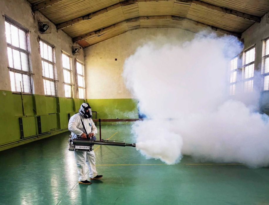 Dezinsecție și Deratizare