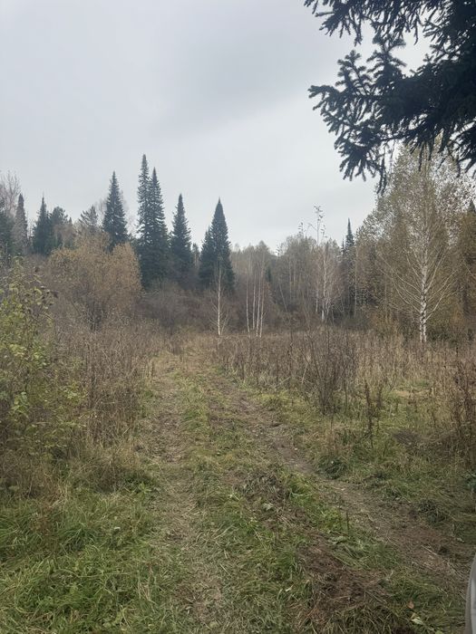 Продам отличный участок, в городе риддер.