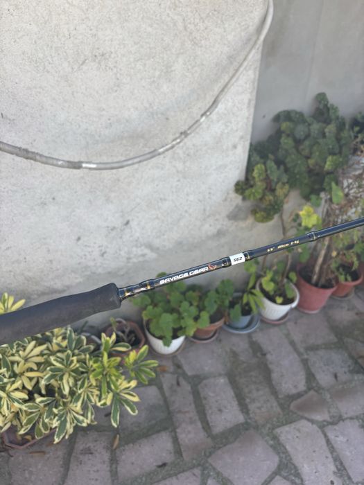 Спининг въдица за лайт риболов