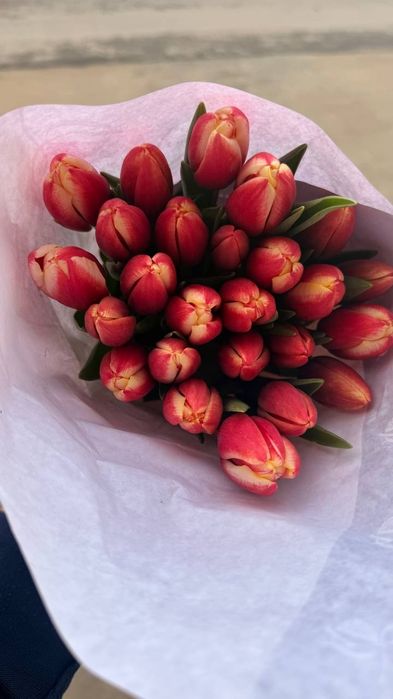 Тюльпаны (Голландская) на 8 марта оптом есть перечисленные