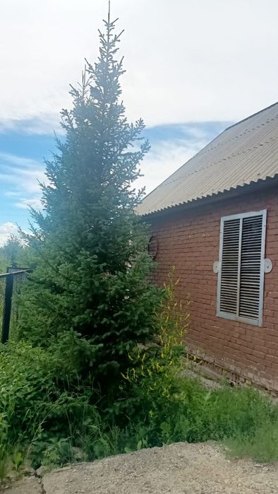 Продам дачу С/О Алмаз