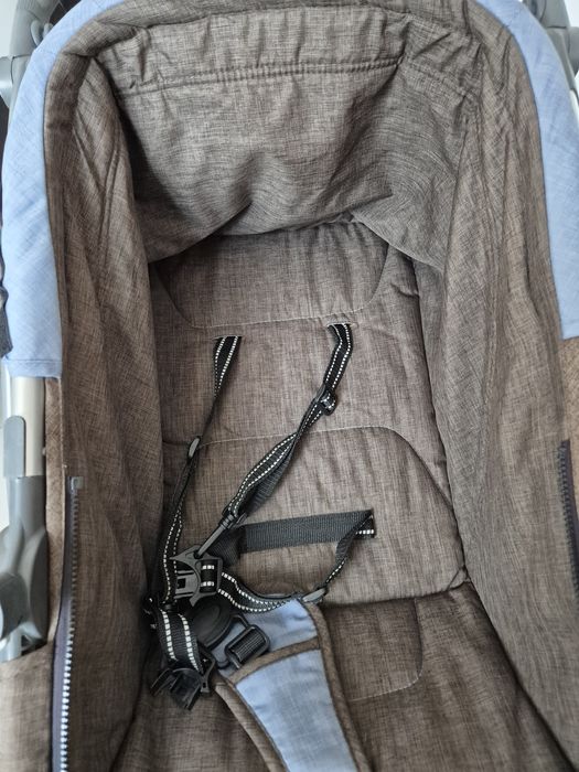 Căruț sport coccolle