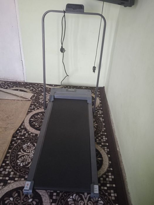 Begavoy darojka 120kg