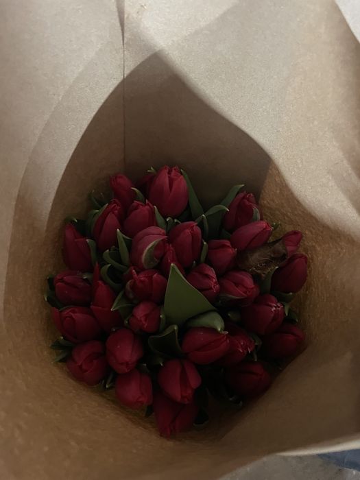 Тюльпаны оптом Астана