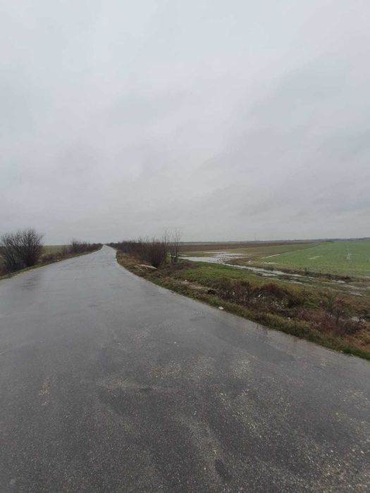 Vând teren extravilan 2,5 hectare