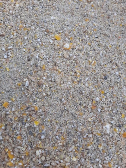 Комбикорм для телят