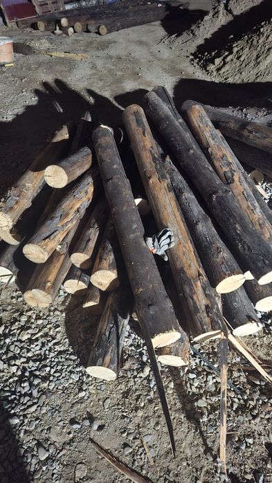 Борене калдыгы 1 метрден