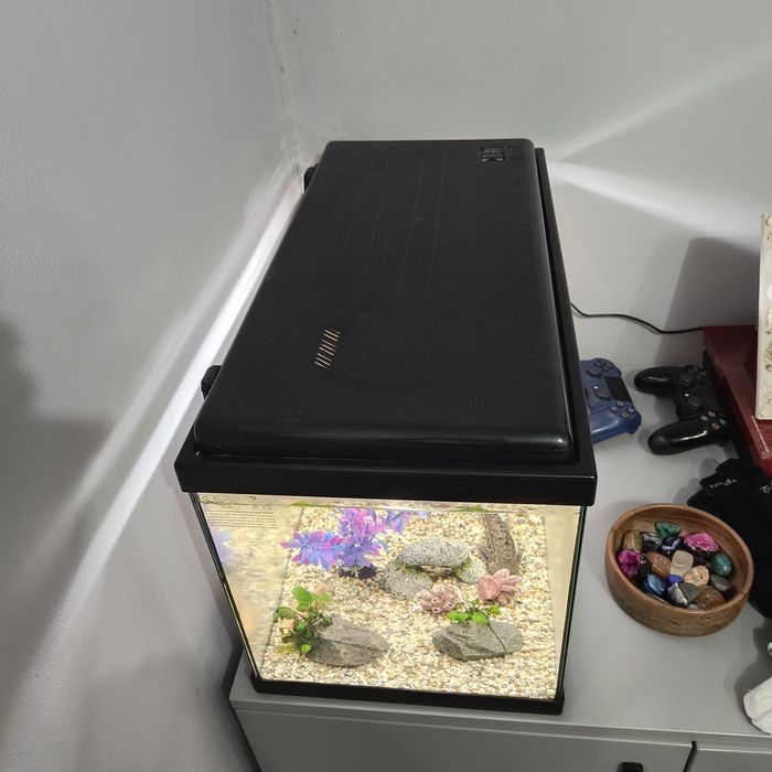 Acvariu complet 60 l