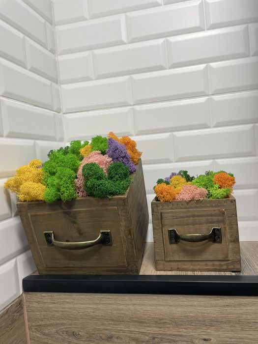 Скандинавски мъх,декорации,подаръци