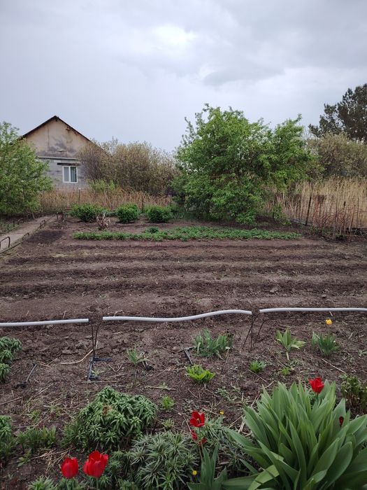 Продажа дача летний вариант