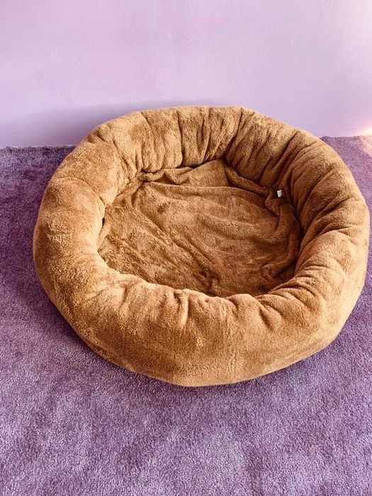 Легла за домашни любимци