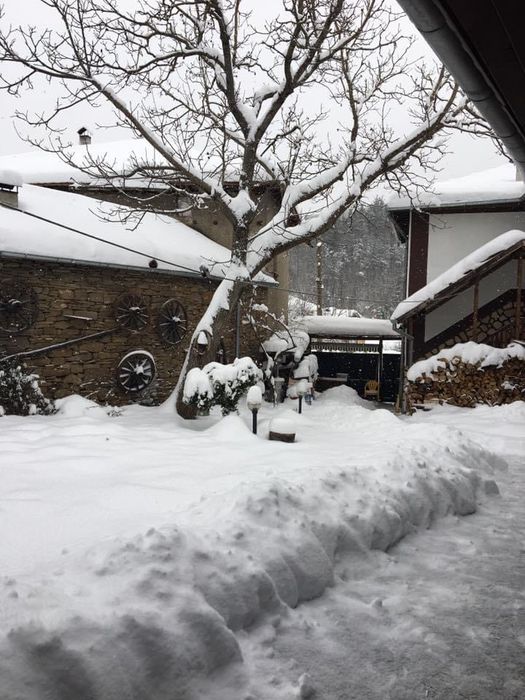 Продава се Къща в с. Ломец, Област Ловеч - 390 кв.м за 505 €/кв.м - Снимка #6