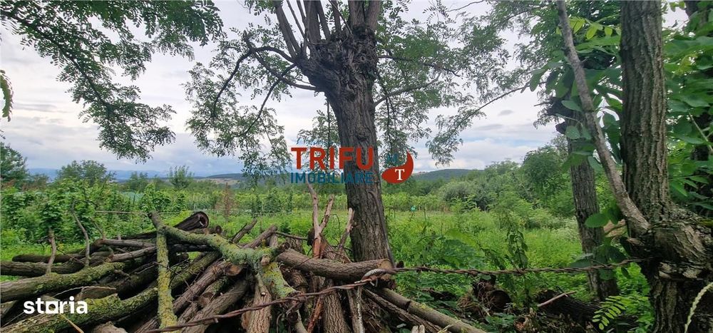 Teren intravilan de vânzare în Straja – ideal pentru casă de vacanță s