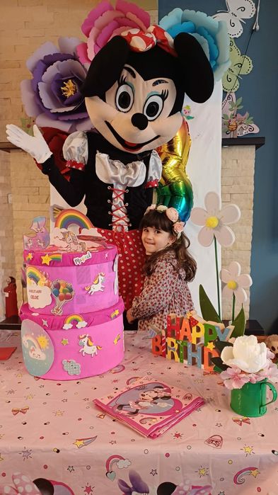 Michey, Minnie,  Chase, Skye, Elsa, Mascote, Animatori Timisoara