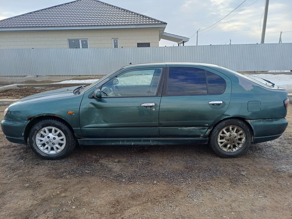 Ниссан p11 сатылады