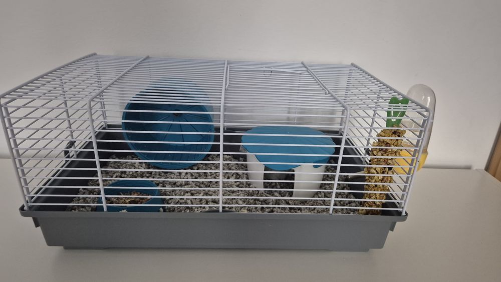 Cusca gri hamster