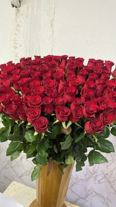 Роза   550 тг штук