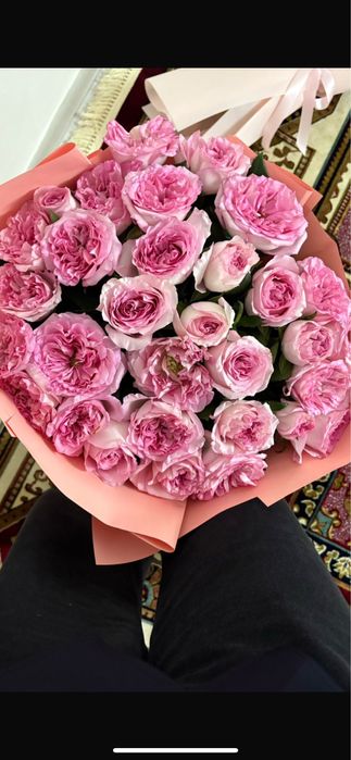 Цветы роза туркестан