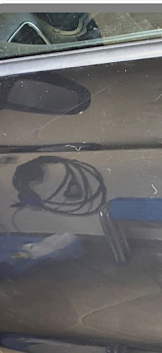 Polish auto profesional