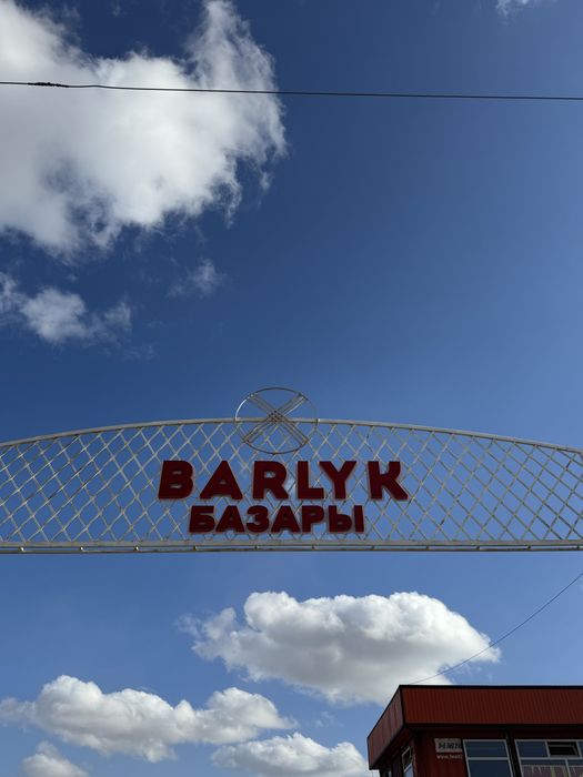 Железные двери с разным видом