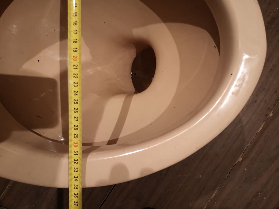 Тоалетната чиния