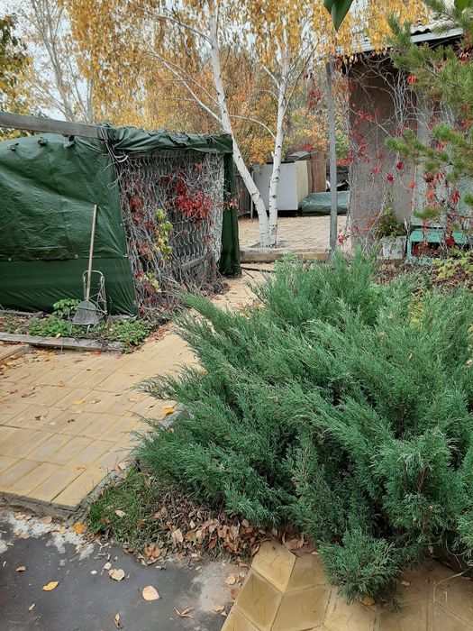 Продам дачу в Темиртау. в общ.Плодородие