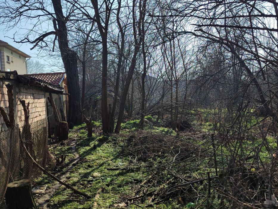 Продава се Парцел в Генерал Тошево - 1403 кв.м за 15 €/кв.м - Снимка #5