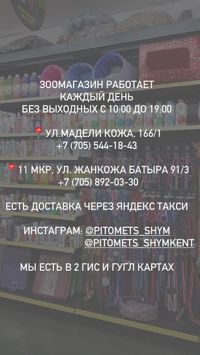Сумка переноска для кошек новая