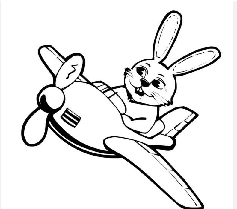 Curse Târgoviște București