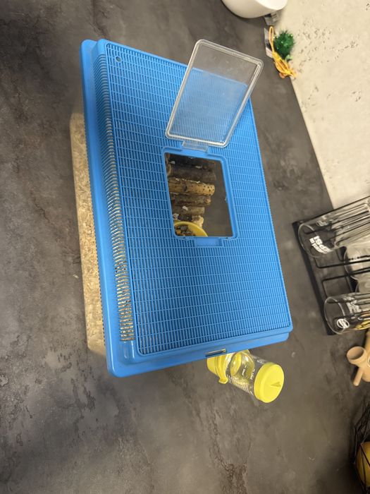 Set complet hamster pitic Roborovski (cușcă + accesorii + hrană)