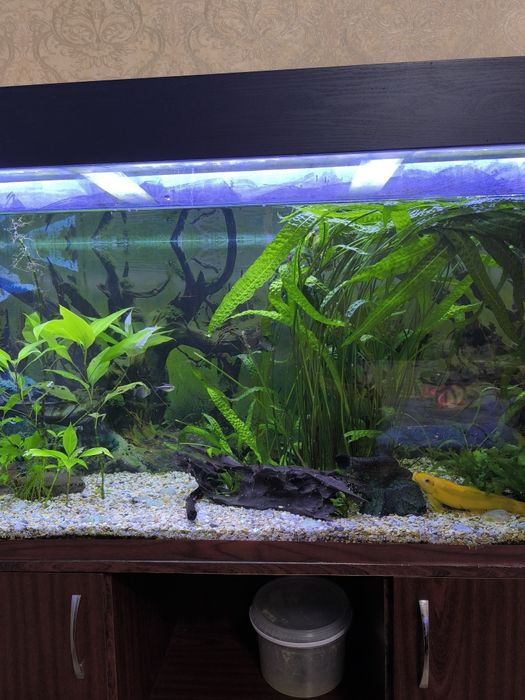 Аквариум 320литров