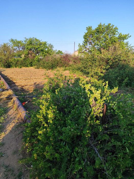 Продам дачу на 1-ой водоколонке