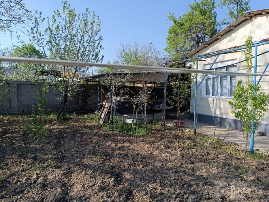 dacha krasnagorskda