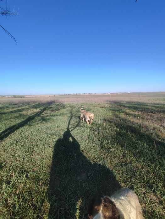 Продам тазы кабель