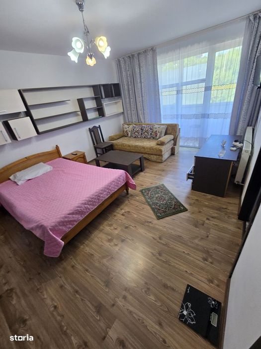 De închiriat Apartament 1 cameră Bucătărie separată Calea Baciului