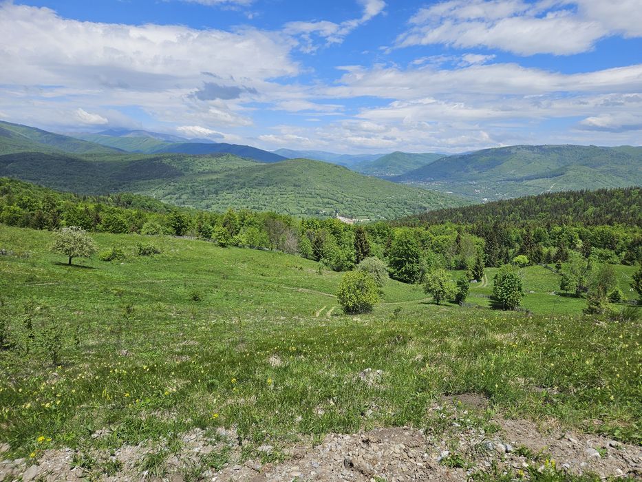 Teren Intravilan 10.000 mp cu vedere panoramică în Secăria, Prahova (Se poate vinde și parcelat)