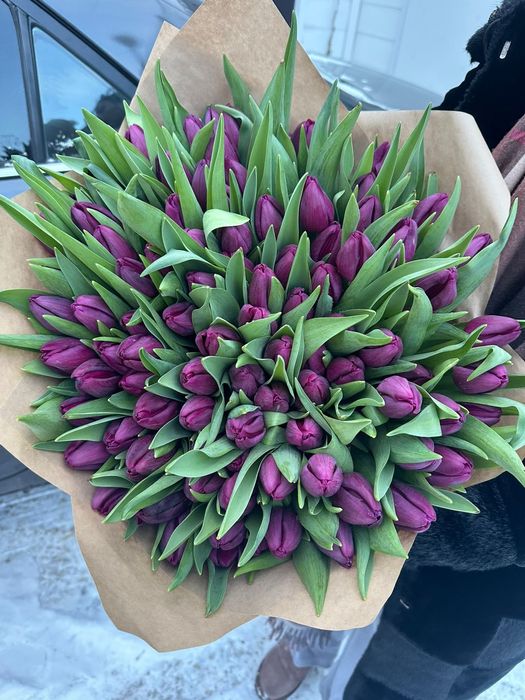 Цветы Тюльпаны оптом и в розницу