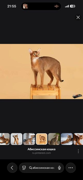 Отдам в хорошие руки