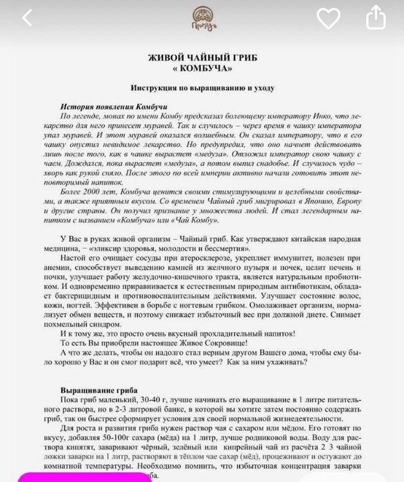 Комбуча (чайный гриб)