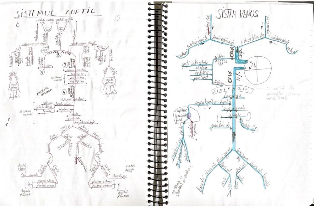Vând materiale complete admitere Medicină UMFCD Biologie și Chimie