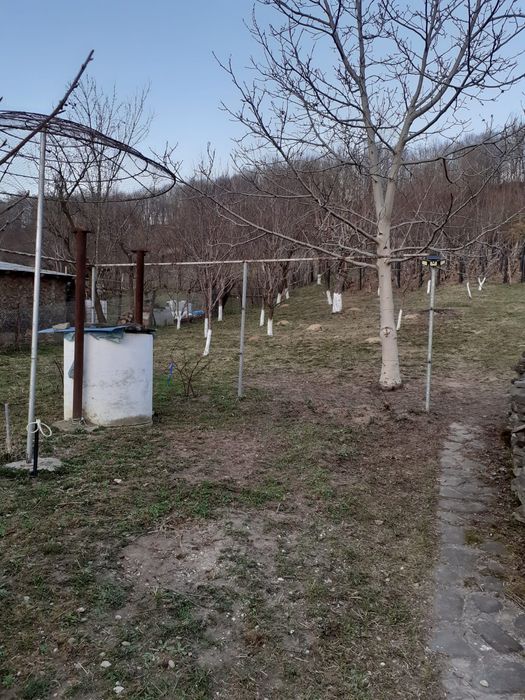 Casă și teren Buhea de Jos, Prahova