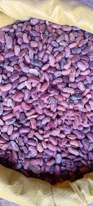 Don va yem mahsulotlari