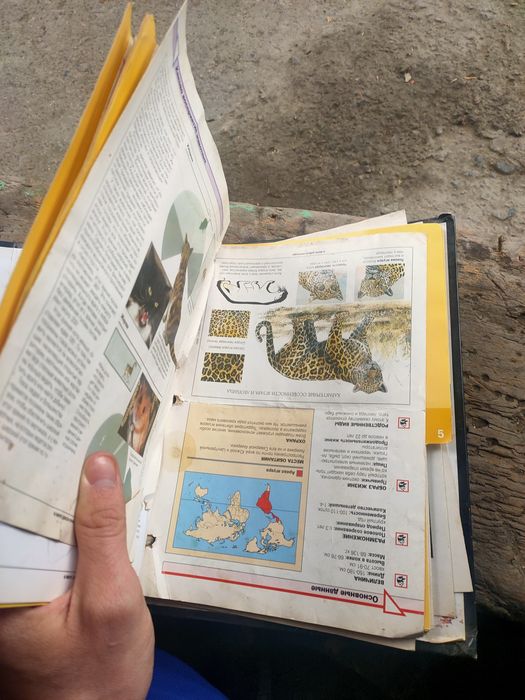 Продам журнал про животных