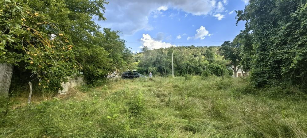 Къща с голям двор 3200 кв.м и река с. Новосел, обл. Шумен