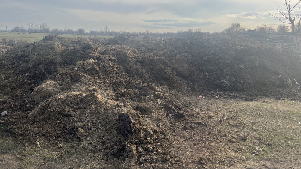 Навоз в районе Сортировка