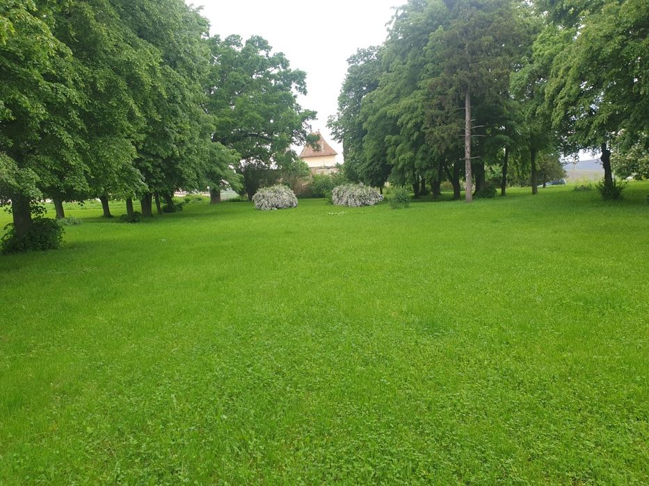 6.5 ha intravilan-Parc industrial/logistic  . Posibilitate de parcelare. Toate utilitatile