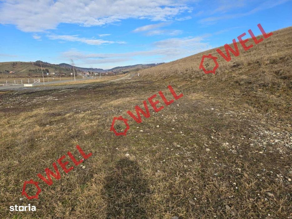 Teren intravilan de vânzare în Barcani!